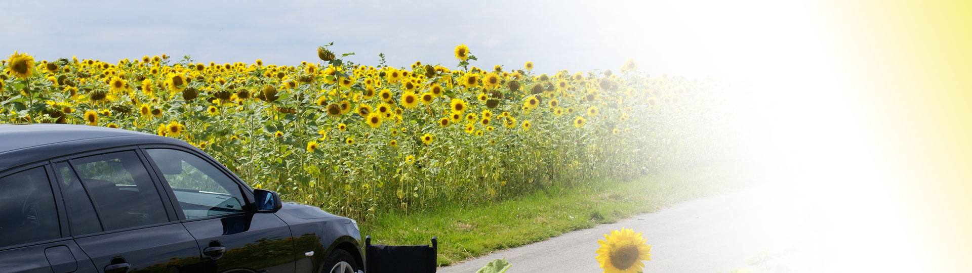 header-tipps-design